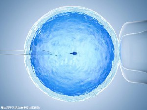 试管供卵公司
